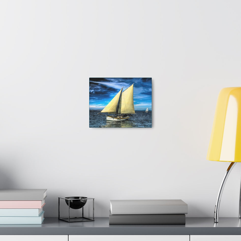 Thumbnail: "Boatoon" Canvas Wrap Canvas Wrap