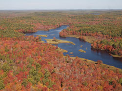 PA129797