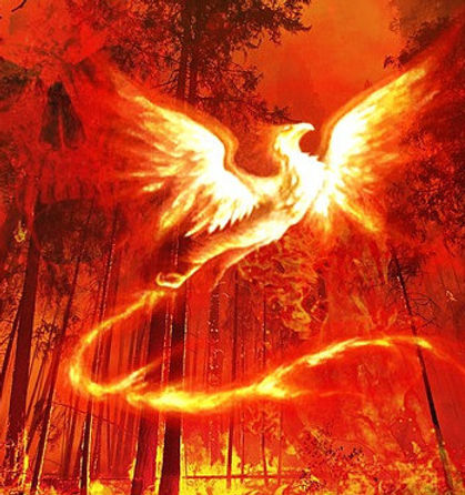 new phoenix.jpg