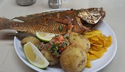 TILAPIA.jpg
