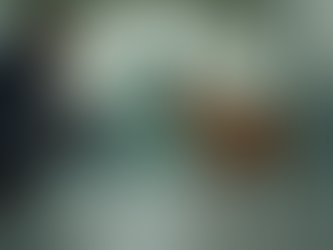 What to Expect in a Dog Consultation: Essential Dog Consultation Details