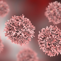 immuniteit - ziekte - weerstand