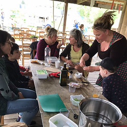 Wildplukworkshop: wilde pesto. Proef de natuur: leer plukken en maak je eigen pesto.