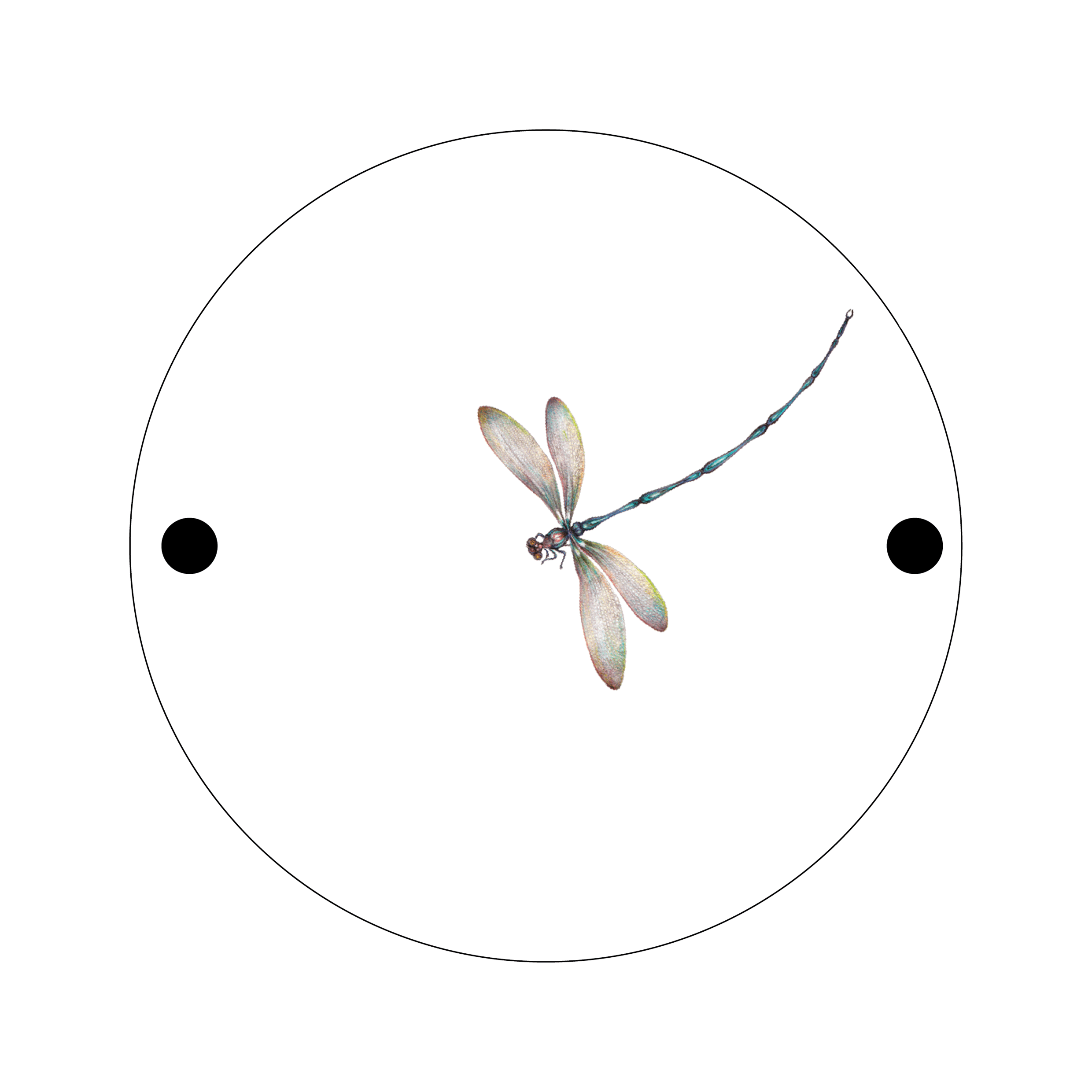 Dragonfly-on-a-branch-of-tree.gif