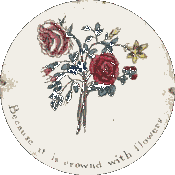 Taumatropio fiorie vaso 1825_ Gif