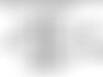 LA DÉMOCRATIE SELON LES LYCÉENS (Numéro II) : La façon d'élire importe 