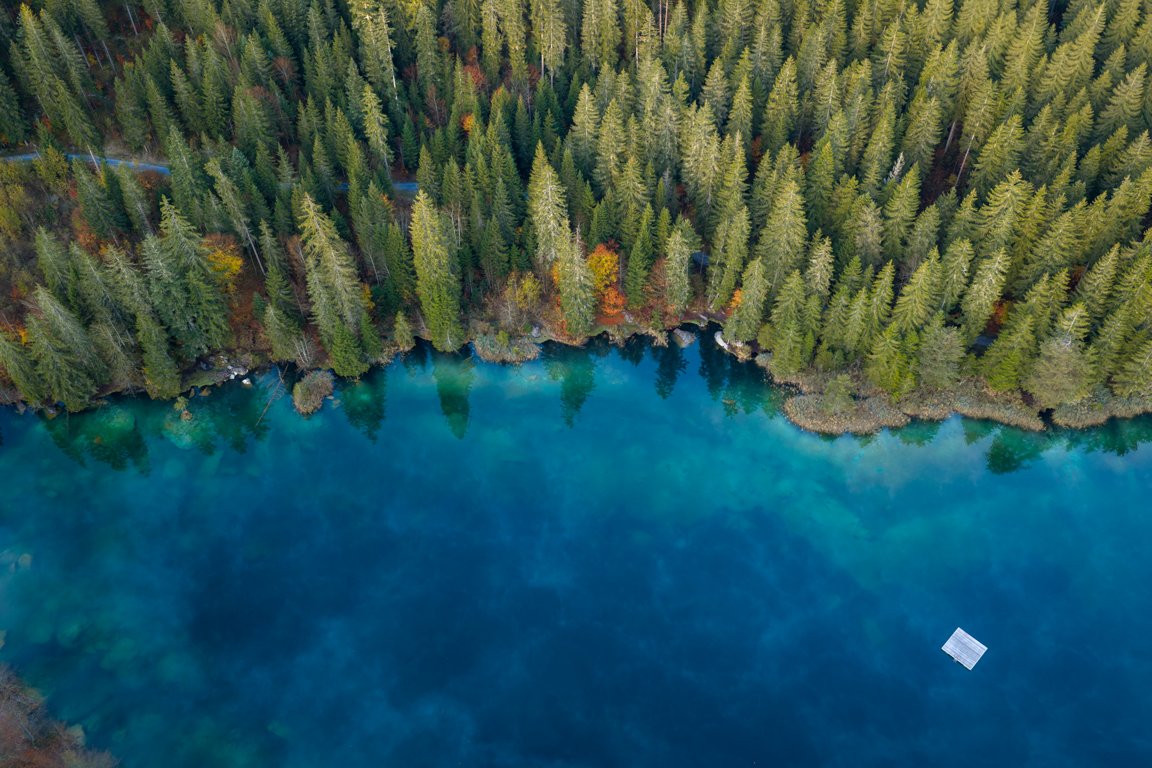 Luftaufnahme des Crestasees mit dichtem Wald und tiefblauem Wasser in Flims