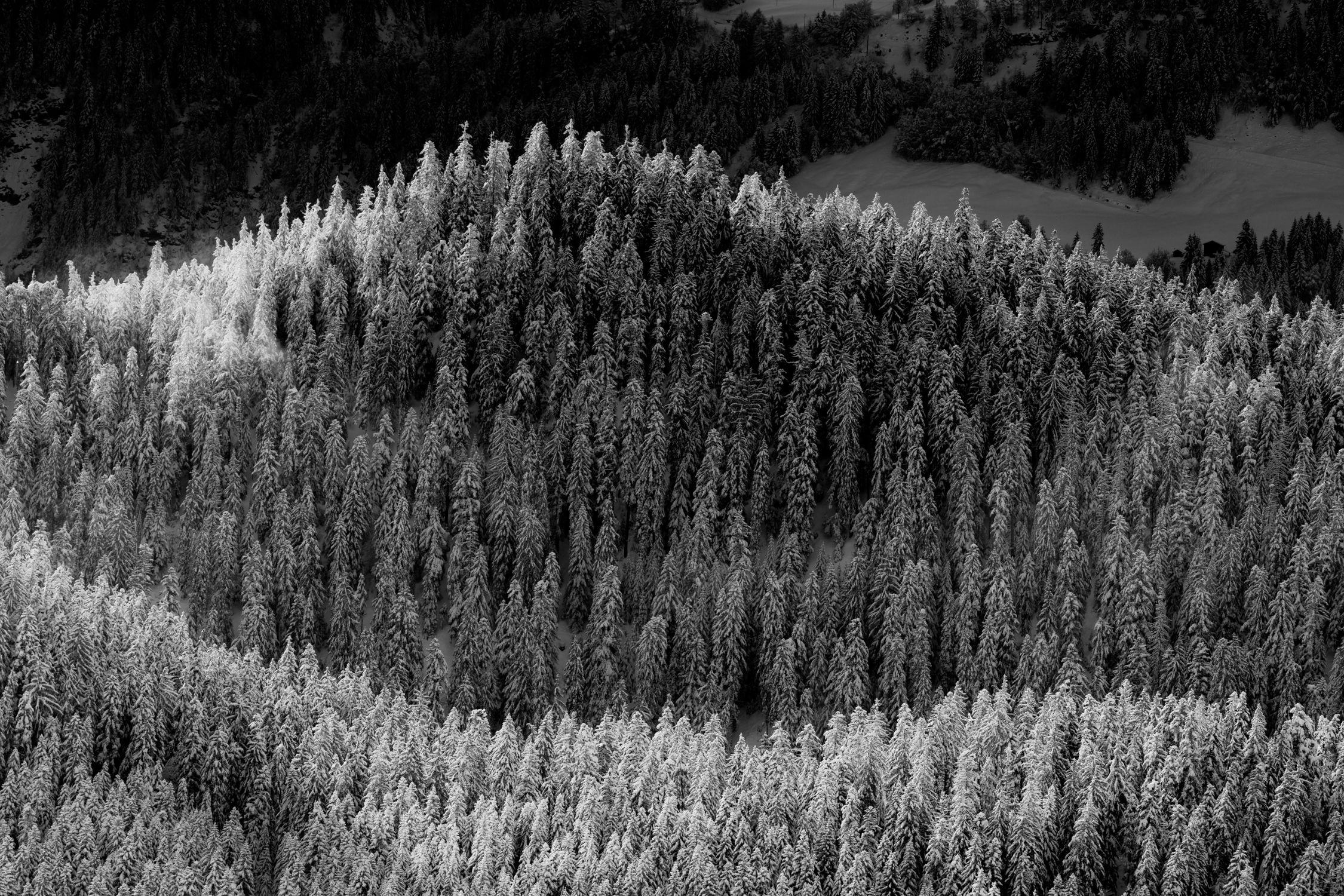 Snow-covered forest areas draw curved lines across a mountainside