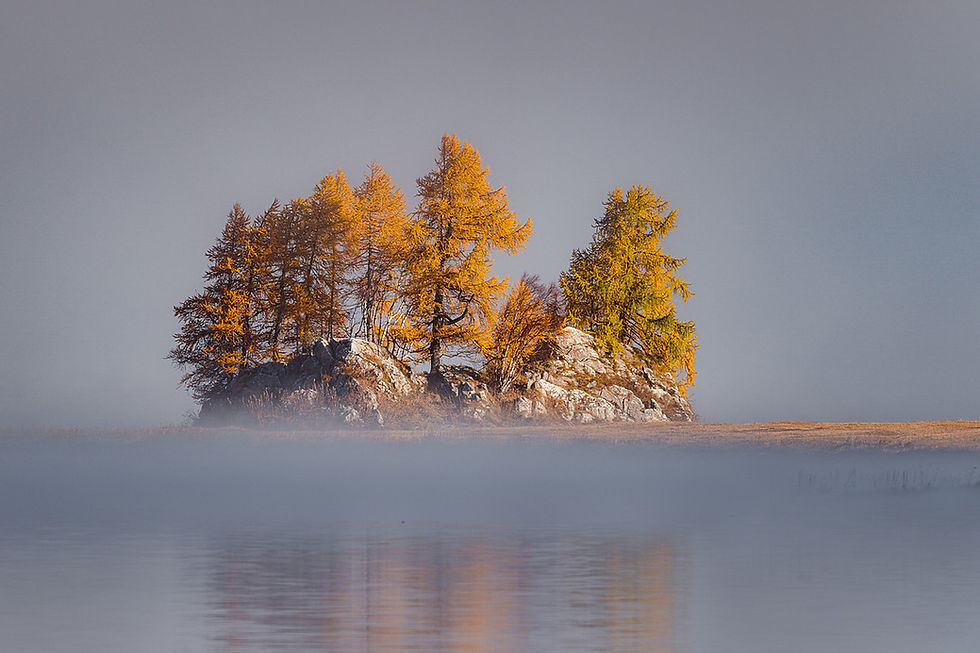 Insel tritt aus dem Nebel ins Licht am Silsersee