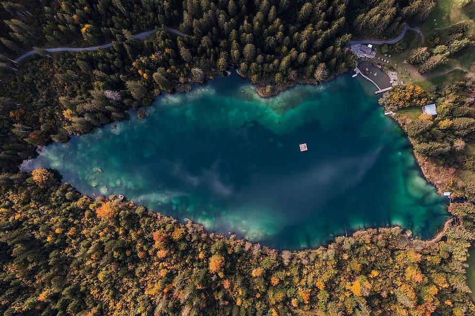 Goldene Lärchen spiegeln sich an einem windstillen Herbsttag im Crestasee