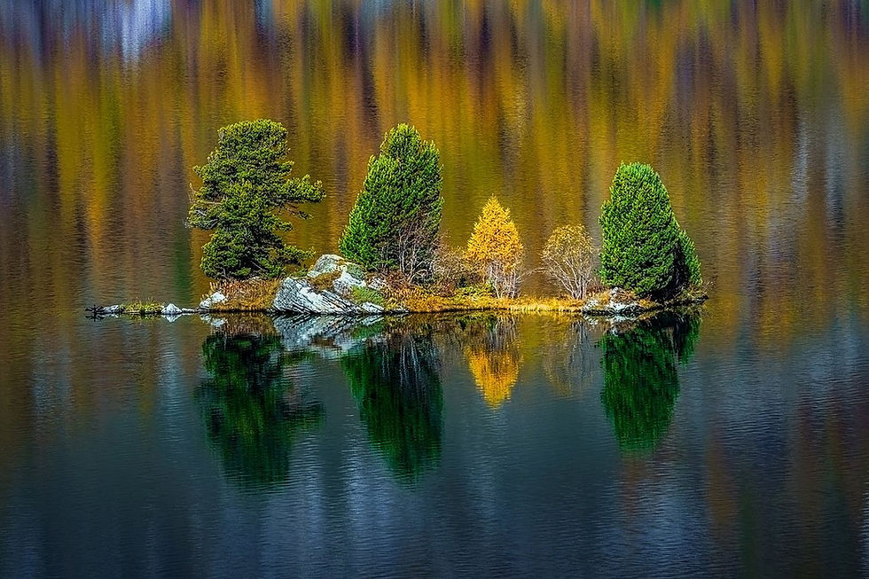 Kleine Felsinsel im Silsersee umgeben von wechselnden Herbstfarben