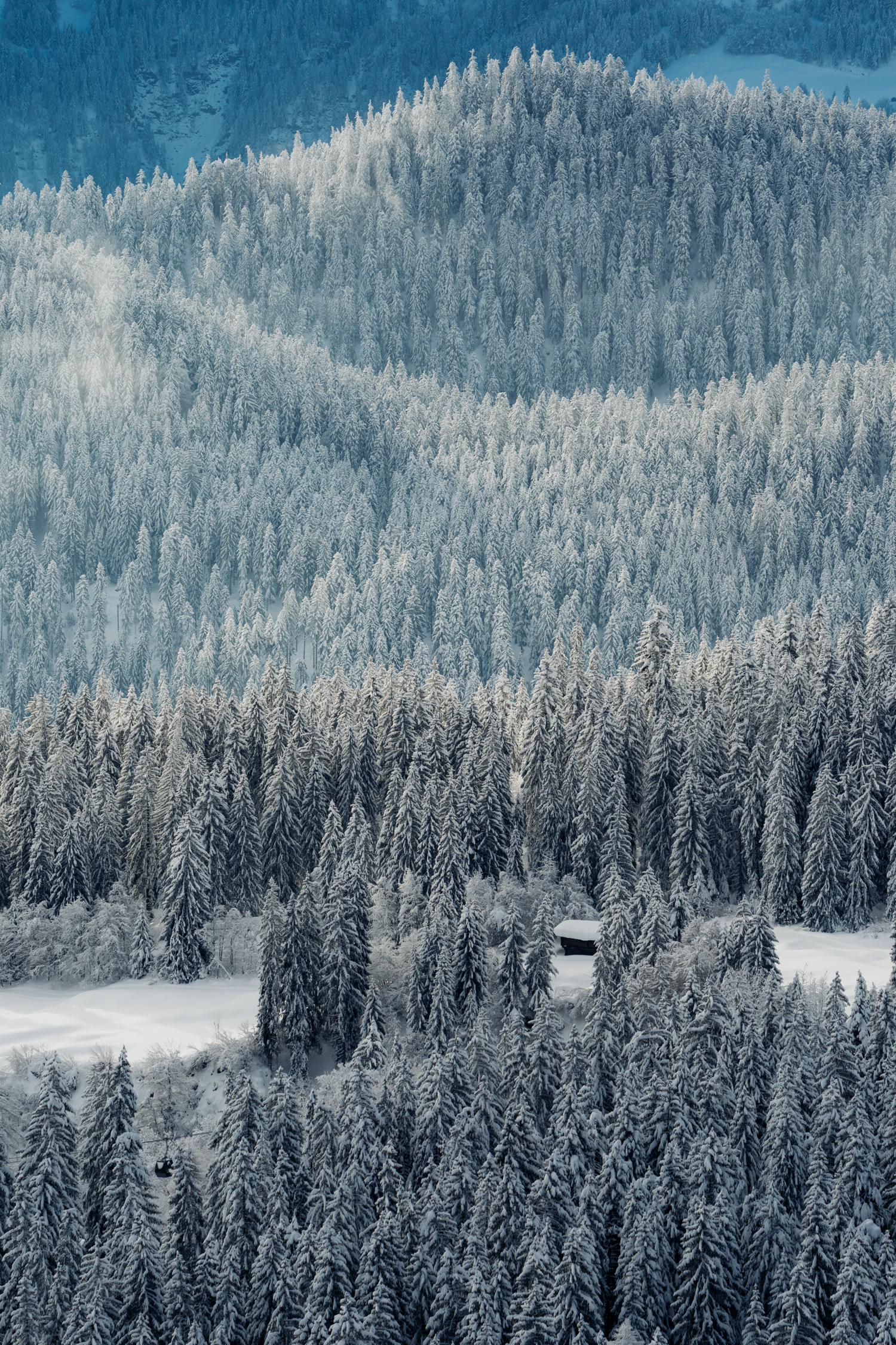 Einzelnes Haus im verschneiten Wald aus der Luft gesehen