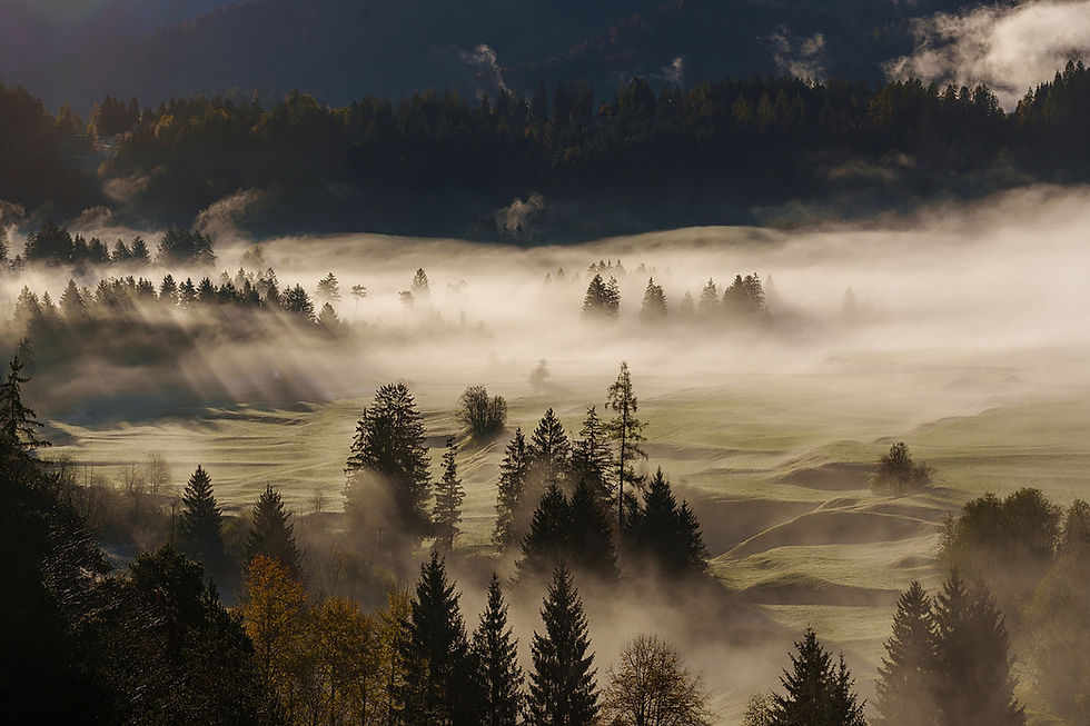 Bodennebel über dem Tal mit durchbrechendem Herbstlicht bei Trin