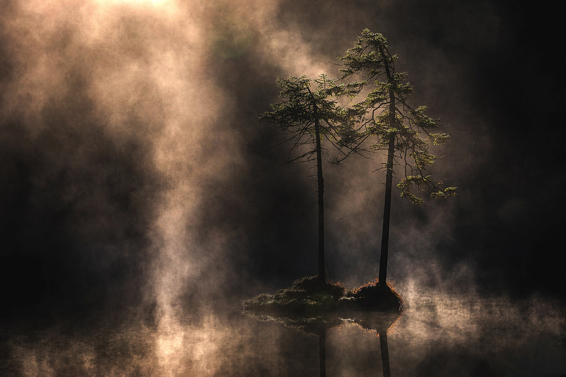 Crestasee vor Sonnenaufgang mit Nebel, Spiegelung und beleuchteten Bäumen