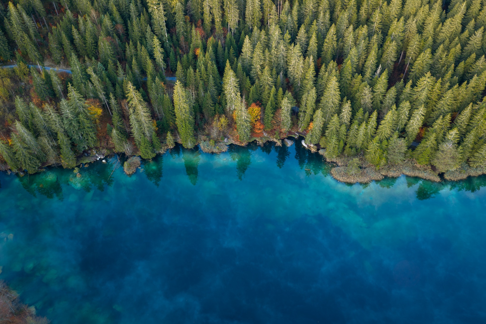 Luftaufnahme des Crestasees mit dichtem Wald und tiefblauem Wasser in Flims