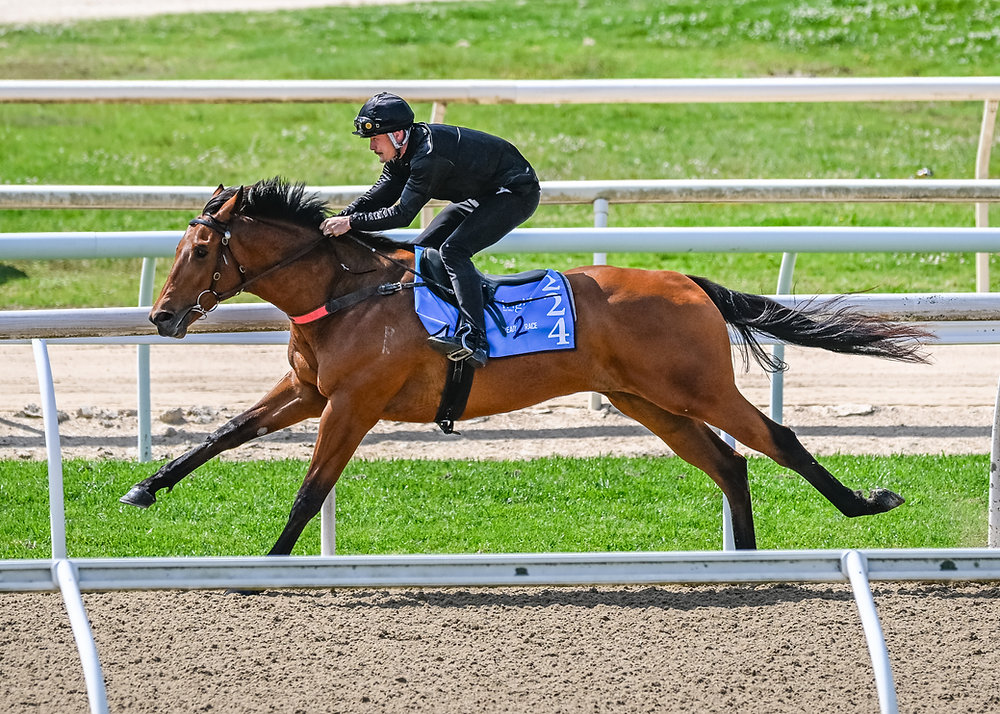 Pre Sold Riders Strong debut at Ready 2 Race Sale