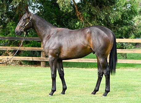 lot 54 farnan x feel the rush__dsc0933.jpg