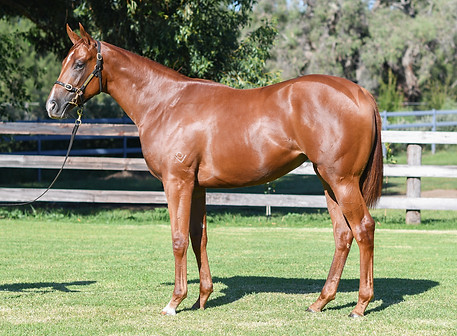 LOT 496 Zoustar x Donelle_DSC_1256.jpg