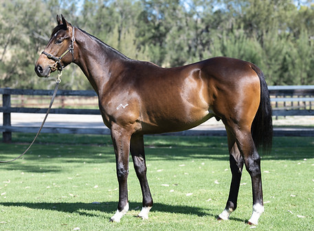 LOT 624 Proisir x Madam Swiss__DSC8658.jpg