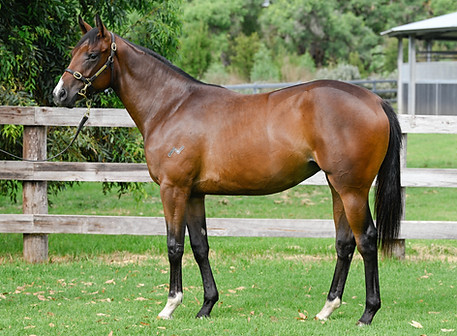 LOT 459 Stay Inside x Mrs Orb__DSC5776.jpg