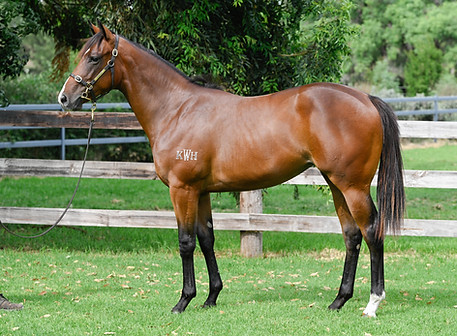 LOT 588 Stay Inside x Rockolicious__DSC5987.jpg