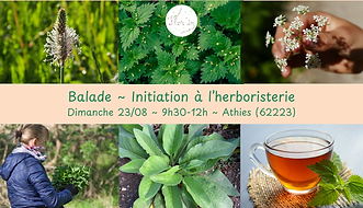 balade herbo sans tisane.png