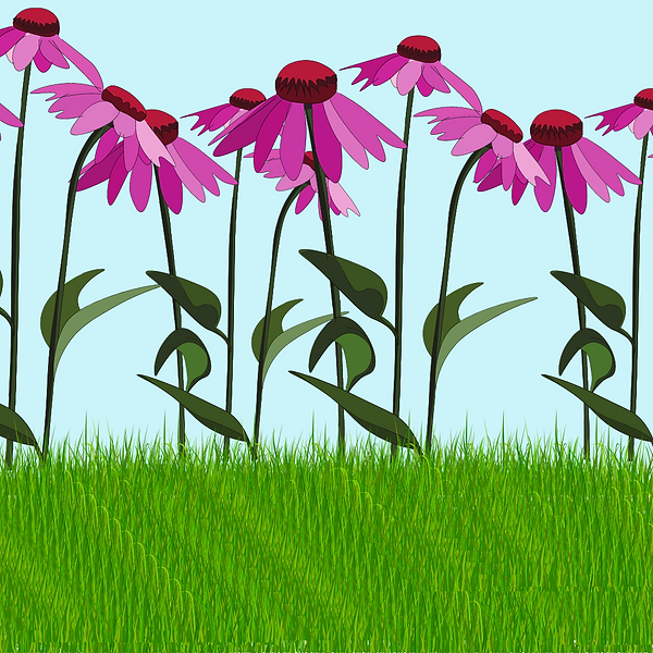how to create a garden that flowers all year long by all year bloom