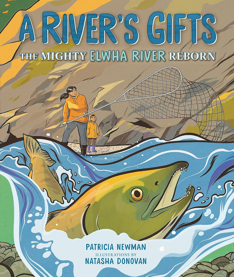 Book cover of A Rivers Gifts The Mighty Elwha River Reborn by Patricia Newman illustrated by Natasha Donovan, a Sibert Honor children's picture book about the Elwha River dam removal and return of Pacific Northwest salmon