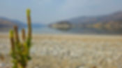 20240908_143751-edit.jpg