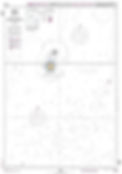 Carta Nautica Grupo Ocidental Açores_edited.jpg