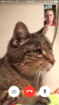 Last FT w/ my True Love
