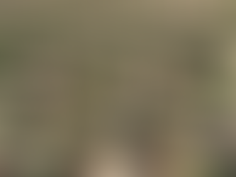 Funding Opportunities in Sustainability Projects