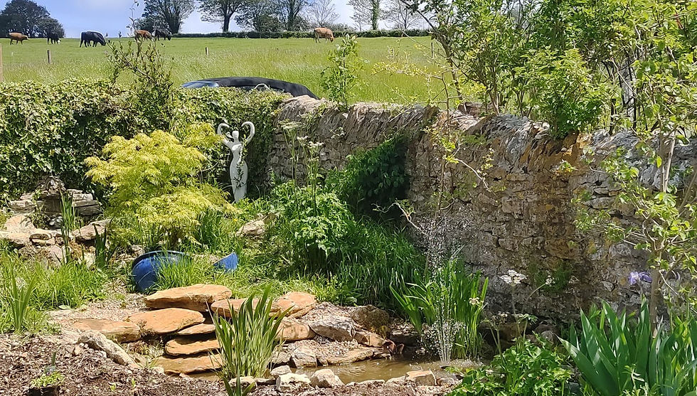 Small pond with stone steps, lush garden plants, and stone wall