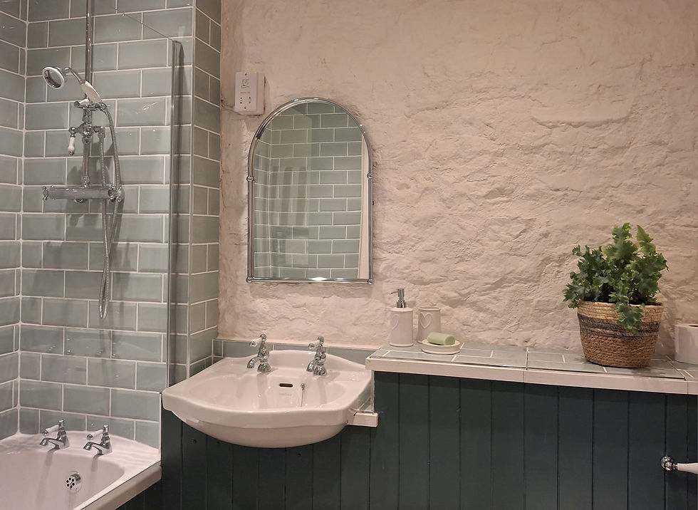 Bathroom with subway tiled shower, sink, arched mirror
