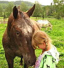 Horses and kids. Liberty Stables, Millarville Alberta. The Luaxophy Method.