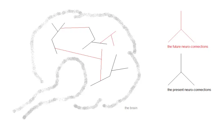 Fig.8.0. a neuro-process in the brain and the faith a kid of Adam has will support; [time, future time]interval.