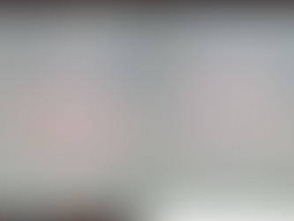 31 March 2026, update information.