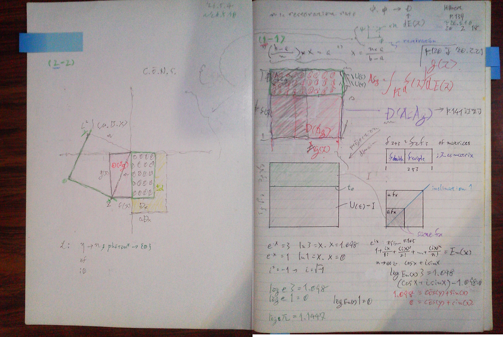 Fig.x1.