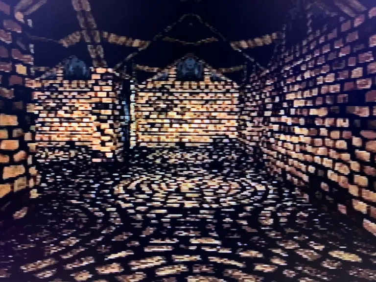 Fig.10.3. ref. Wizardry scenario 1 for PlayStation.