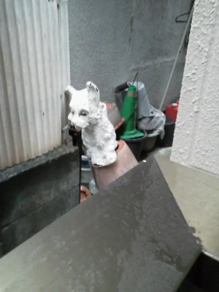 Fig.6.1. October 28th in 2024. A white dog or cat statue with black painted eyes.