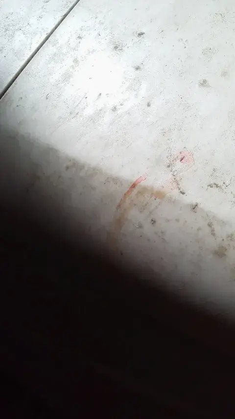 Fig.5.0. like blood or real blood liquid on my washing machine.