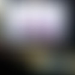 No.3662. A Scene of the first scheme's Practice from Picture to Music and Mathematics.