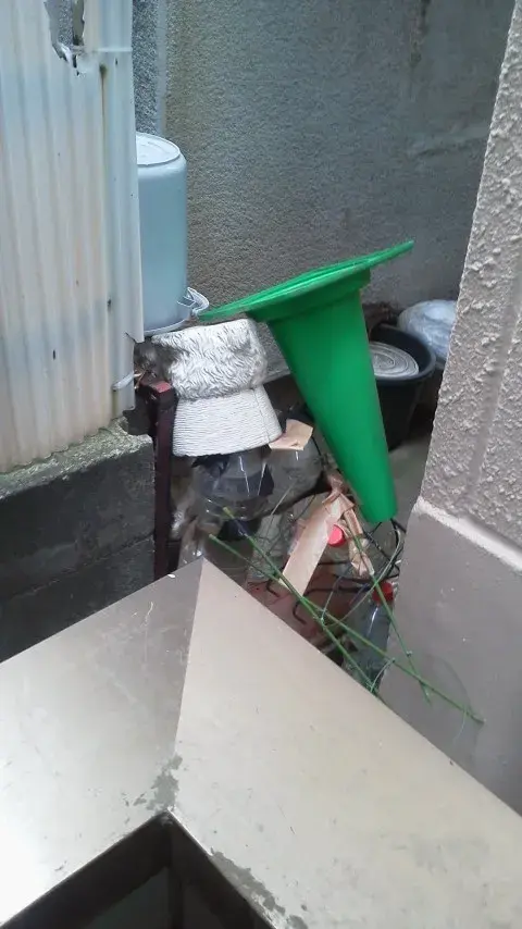 Fig.4.2. June 6, 2024.