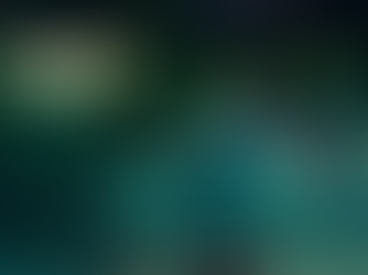 Begeleiding Yentl Kollau 2022