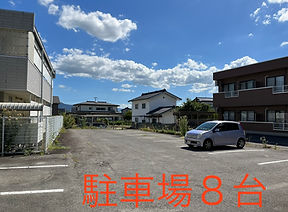 山形市 野球肩