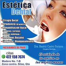 estetica dental dra beatriz.png