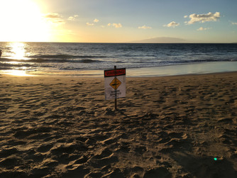 Beach life and a visit to the Kula Botanic Garden
