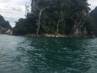 Day Trip to Khaosok National Park