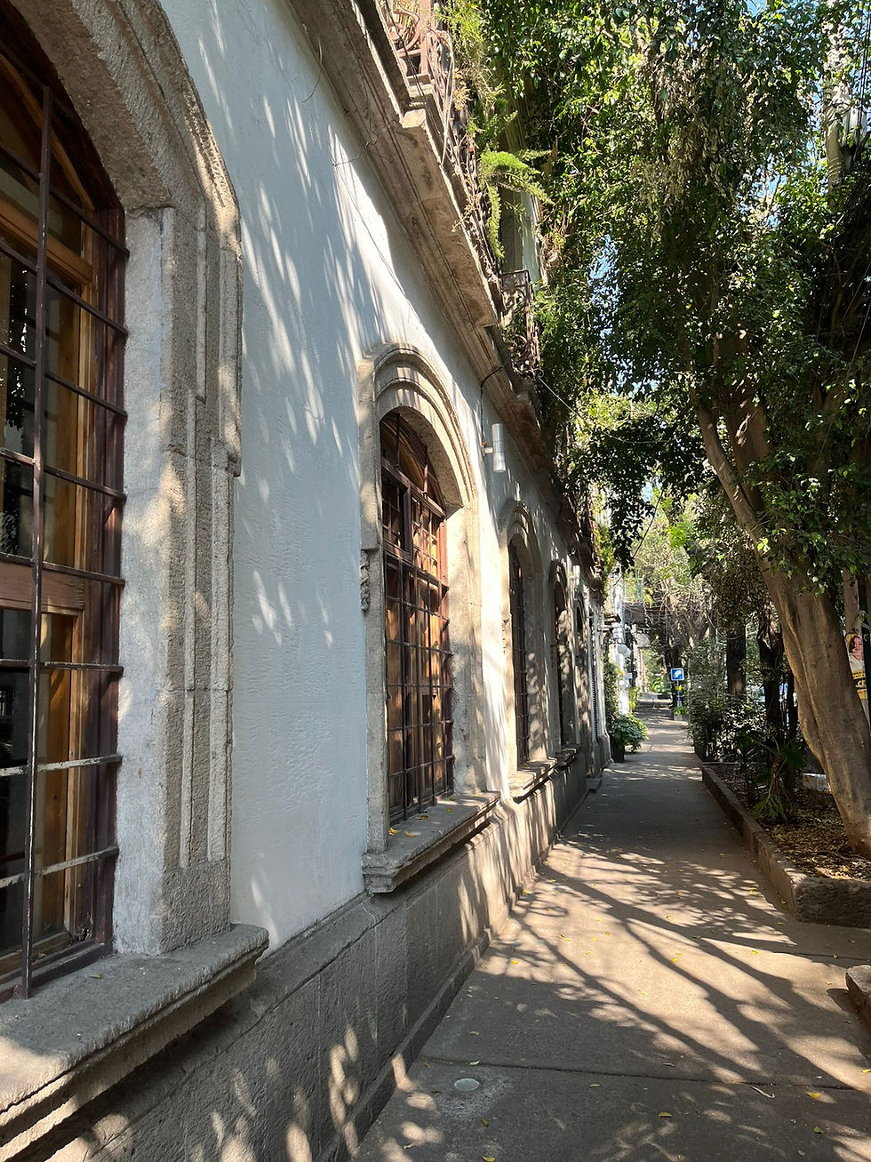 WhatsApp Image 2025-07-17 at 16.23.19 (5).jpeg