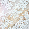 close-up of french wedding lace.jpg